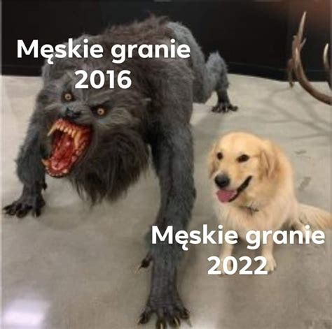 singiel memy|MenskieGranie : r/Polska